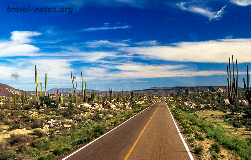 Driving along Route 1, Baja California
