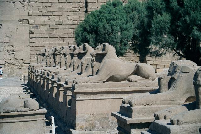 Avenue of the ram headed shinxes