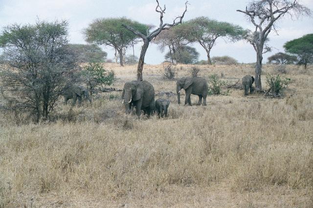 The shot before the charge