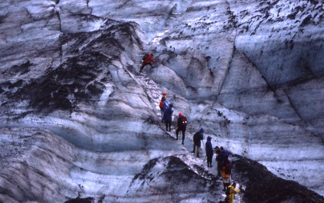 Fox GLacier