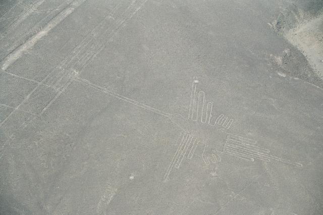 Nasca Lines: The Humming Bird