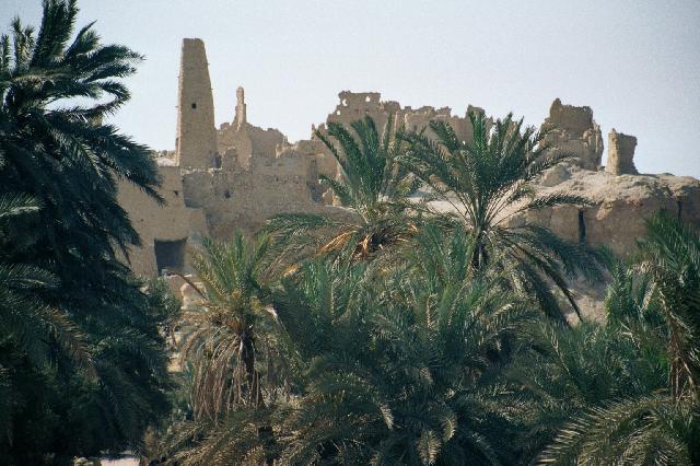 Oracle of Amun, Siwa