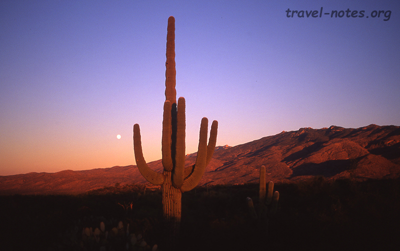 Moonrise over Saguaro NP