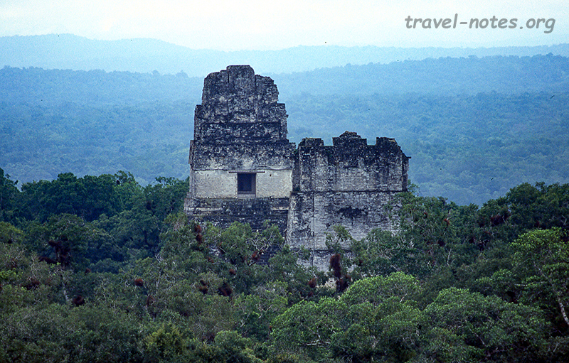View from Templo IV, Tikal